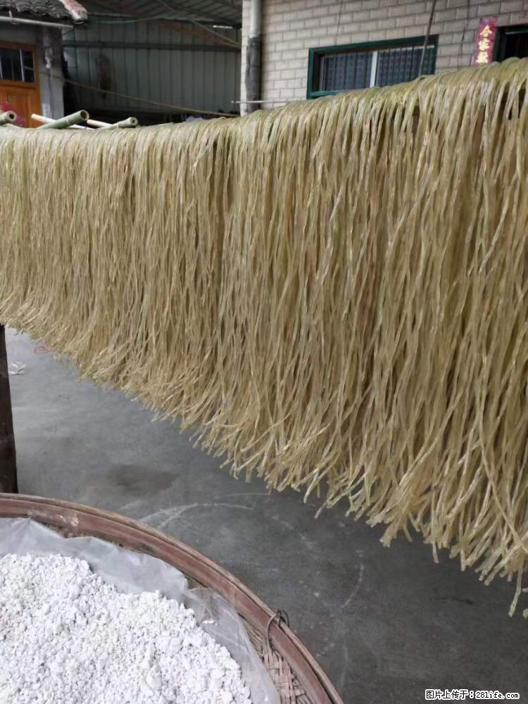 【灌阳正宗红薯粉】美女家里自己做的，干净卫生，假一赔十，价格合理，抢购电话：13737312895 - 美食天地 - 池州生活社区 - 池州28生活网 chizhou.28life.net