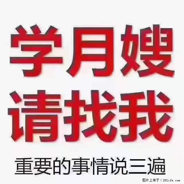 为什么要学习月嫂，育婴师？ - 新手上路 - 池州生活社区 - 池州28生活网 chizhou.28life.net
