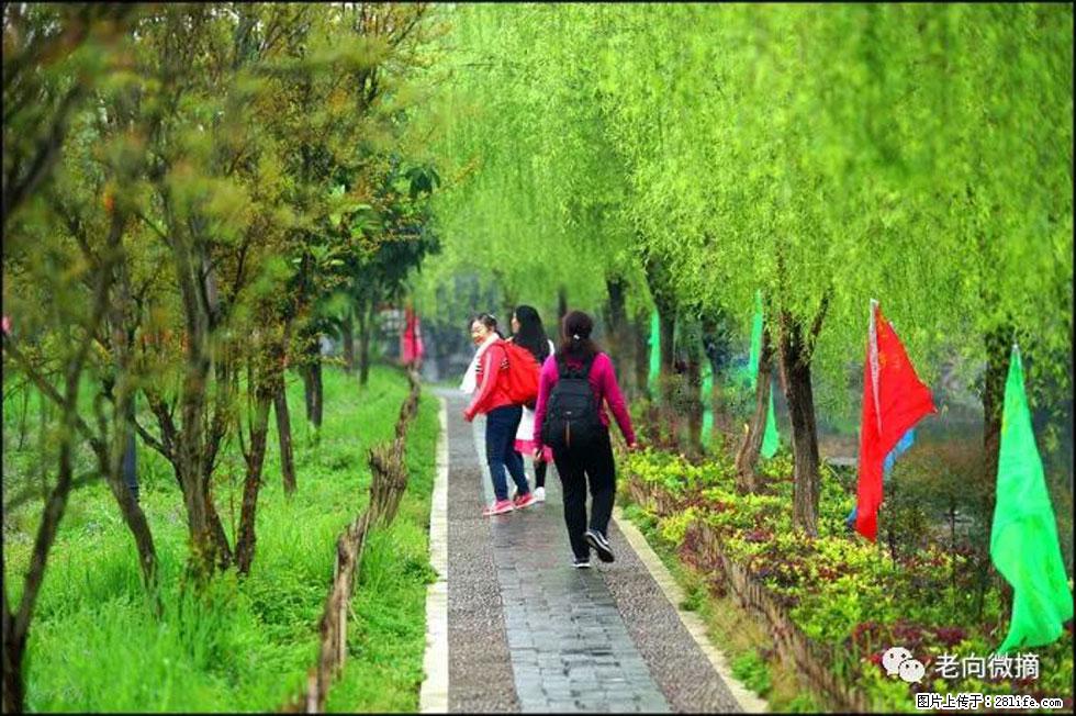 【春天，广西桂林灌阳县向您发出邀请！】江口老街又逢春 - 游山玩水 - 池州生活社区 - 池州28生活网 chizhou.28life.net