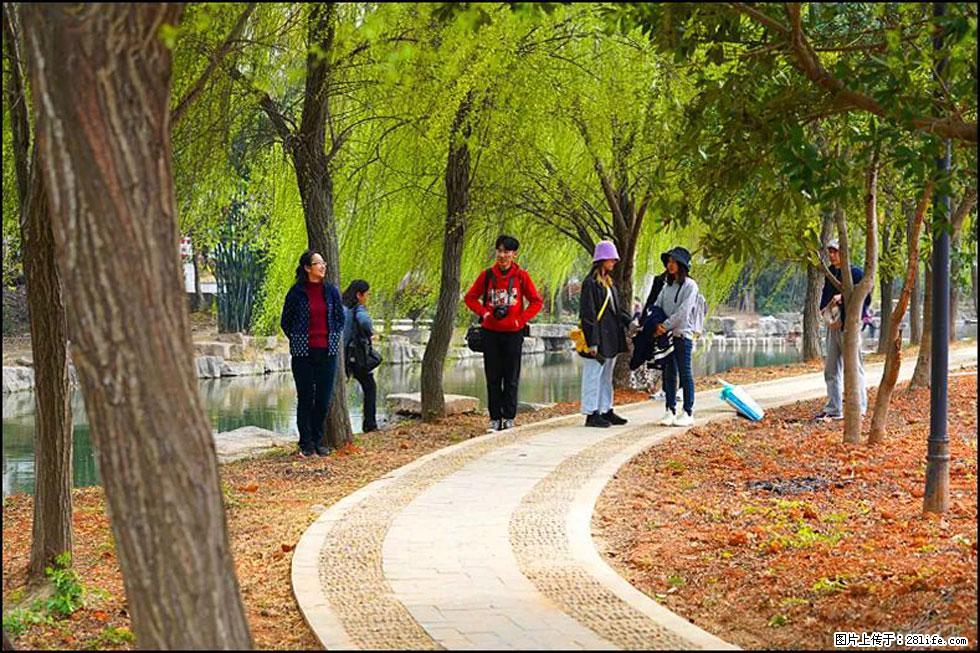 【春天，广西桂林灌阳县向您发出邀请！】江口老街又逢春 - 游山玩水 - 池州生活社区 - 池州28生活网 chizhou.28life.net