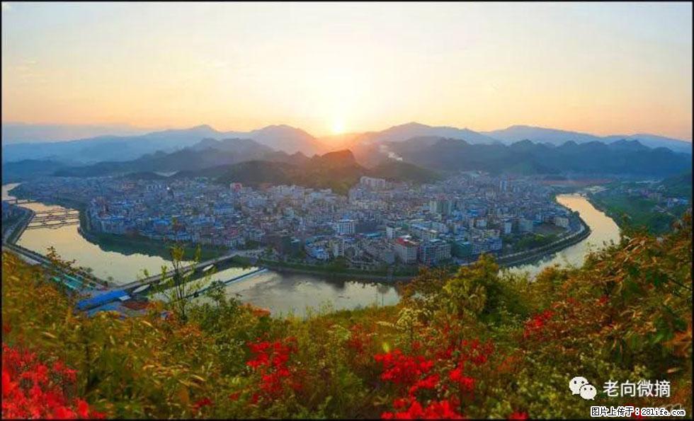 【春天，广西桂林灌阳县向您发出邀请！】登麒麟山，相约映山红 - 游山玩水 - 池州生活社区 - 池州28生活网 chizhou.28life.net