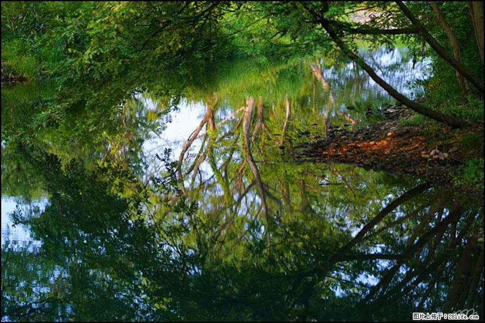 【春天，广西桂林灌阳县向您发出邀请！】熊家寨湿地公园 - 游山玩水 - 池州生活社区 - 池州28生活网 chizhou.28life.net
