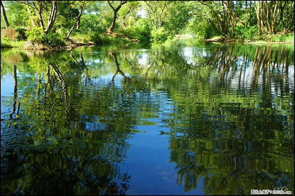 【春天，广西桂林灌阳县向您发出邀请！】熊家寨湿地公园 - 游山玩水 - 池州生活社区 - 池州28生活网 chizhou.28life.net