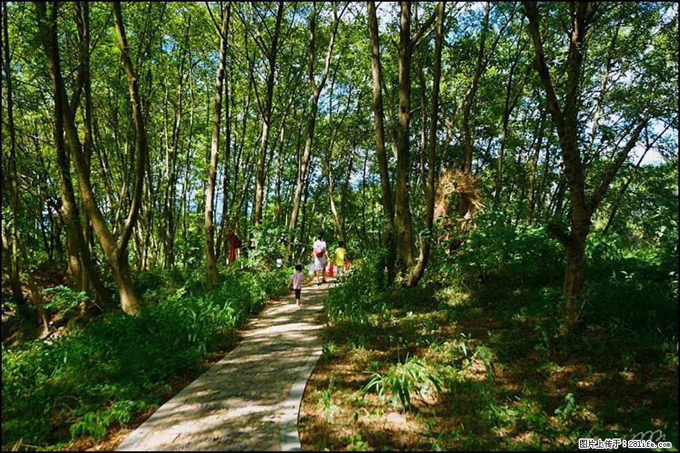 【春天，广西桂林灌阳县向您发出邀请！】熊家寨湿地公园 - 游山玩水 - 池州生活社区 - 池州28生活网 chizhou.28life.net