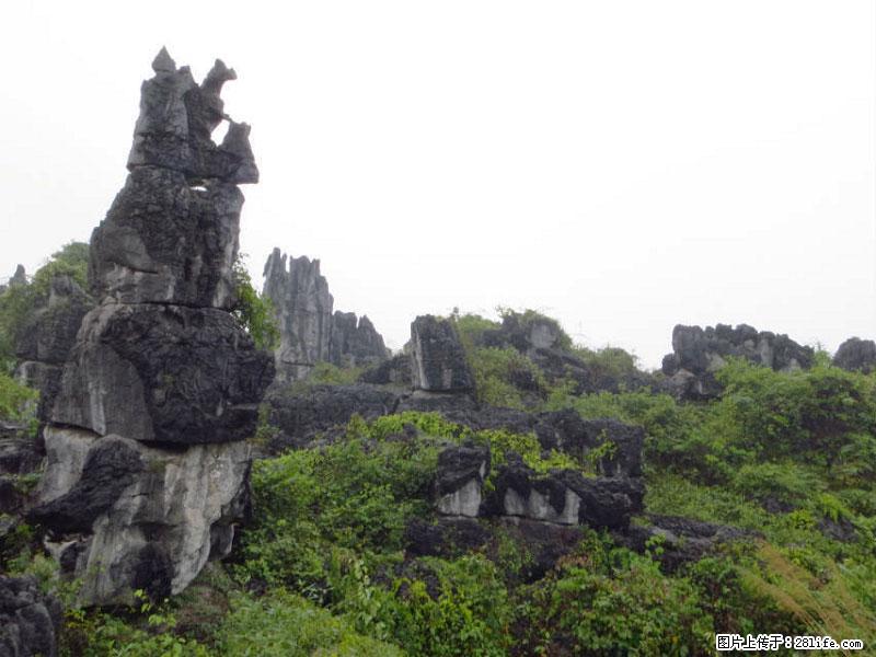 桂林旅游名城景点：灌阳文市石林 - 游山玩水 - 池州生活社区 - 池州28生活网 chizhou.28life.net