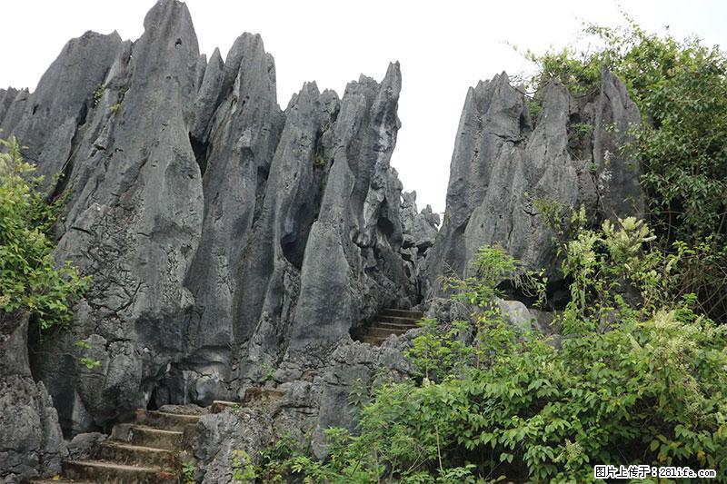 桂林旅游名城景点：灌阳文市石林 - 游山玩水 - 池州生活社区 - 池州28生活网 chizhou.28life.net