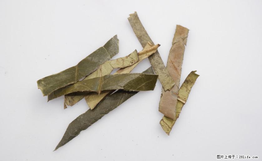 苦丁茶有哪些功效和作用 - 生活百科 - 池州生活社区 - 池州28生活网 chizhou.28life.net