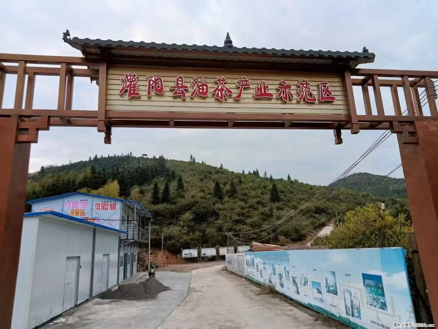 【灌阳县油茶产业示范区】一个有着充实的精神生活的人，对待身外之物自会有一种淡泊的态度 - 美食天地 - 池州生活社区 - 池州28生活网 chizhou.28life.net