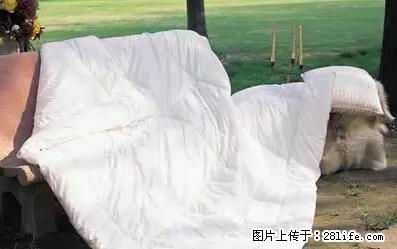 被子有异味？只要这样做，比晒太阳还强100倍！ - 家居生活 - 池州生活社区 - 池州28生活网 chizhou.28life.net