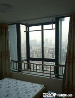同辉广场，精装修，一室一厅，拎包入住 - 池州28生活网 chizhou.28life.net