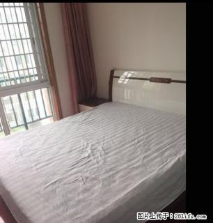 和泰新城有房屋出租 精装修拎包即住 - 池州28生活网 chizhou.28life.net