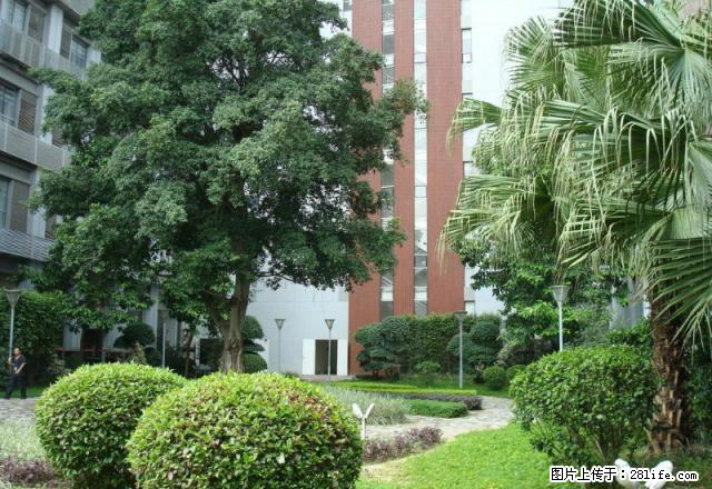 樟树湾对面 城北小区中装3房出租 多层3楼 - 房屋出租 - 房屋租售 - 池州分类信息 - 池州28生活网 chizhou.28life.net