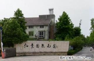 汇景国际花园 精装3房 3楼96平1600 - 池州28生活网 chizhou.28life.net