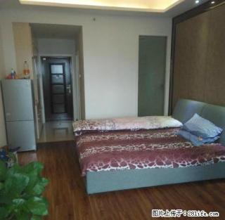 远东国际花园 精装公寓47平 家电齐全 拎包即住 - 池州28生活网 chizhou.28life.net