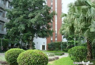 樟树湾对面 城北小区中装3房出租 多层3楼 - 池州28生活网 chizhou.28life.net