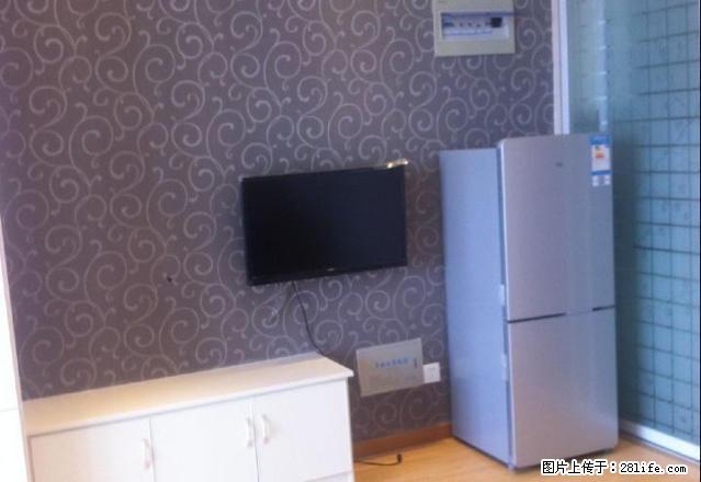 大润发拉菲朝南精装公寓出租 - 房屋出租 - 房屋租售 - 池州分类信息 - 池州28生活网 chizhou.28life.net