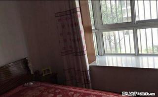 清溪苑有房出租，精装拎包即住 - 池州28生活网 chizhou.28life.net
