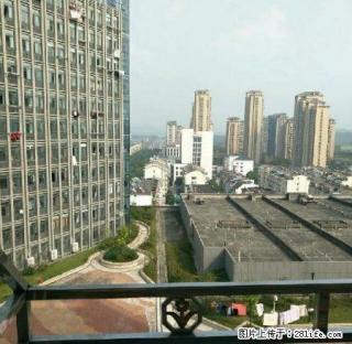 远东国际 精装公寓出租 1350/月 拎包即住 - 池州28生活网 chizhou.28life.net