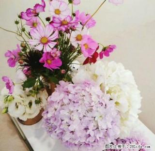 远东国际花园精装电梯公寓视野好家具电器全新1200包物业 - 池州28生活网 chizhou.28life.net