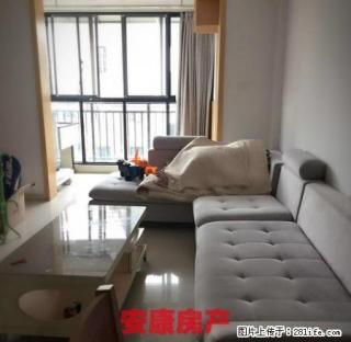 建设西路书香名邸精装2房1500元/月不容错过 - 池州28生活网 chizhou.28life.net