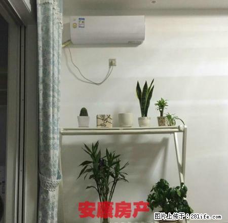 远东国际花园精装公寓出租 - 房屋出租 - 房屋租售 - 池州分类信息 - 池州28生活网 chizhou.28life.net