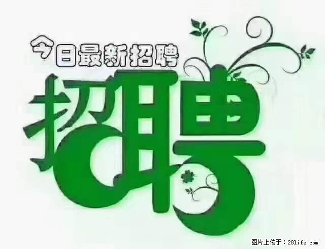 【招聘摄像师】待遇：试用期6000元/月，转正7000元/月+五险一金+餐补+节日福利+奖金 - 职场交流 - 池州生活社区 - 池州28生活网 chizhou.28life.net
