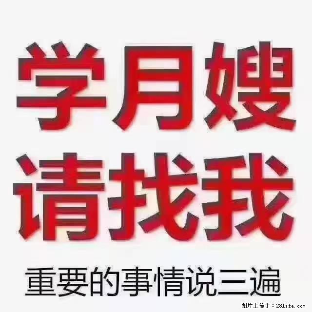 【招聘】月嫂，上海徐汇区 - 职场交流 - 池州生活社区 - 池州28生活网 chizhou.28life.net