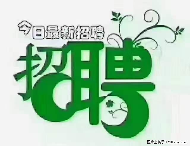 上海隔离酒店招人：55岁以下 男女不限 - 职场交流 - 池州生活社区 - 池州28生活网 chizhou.28life.net