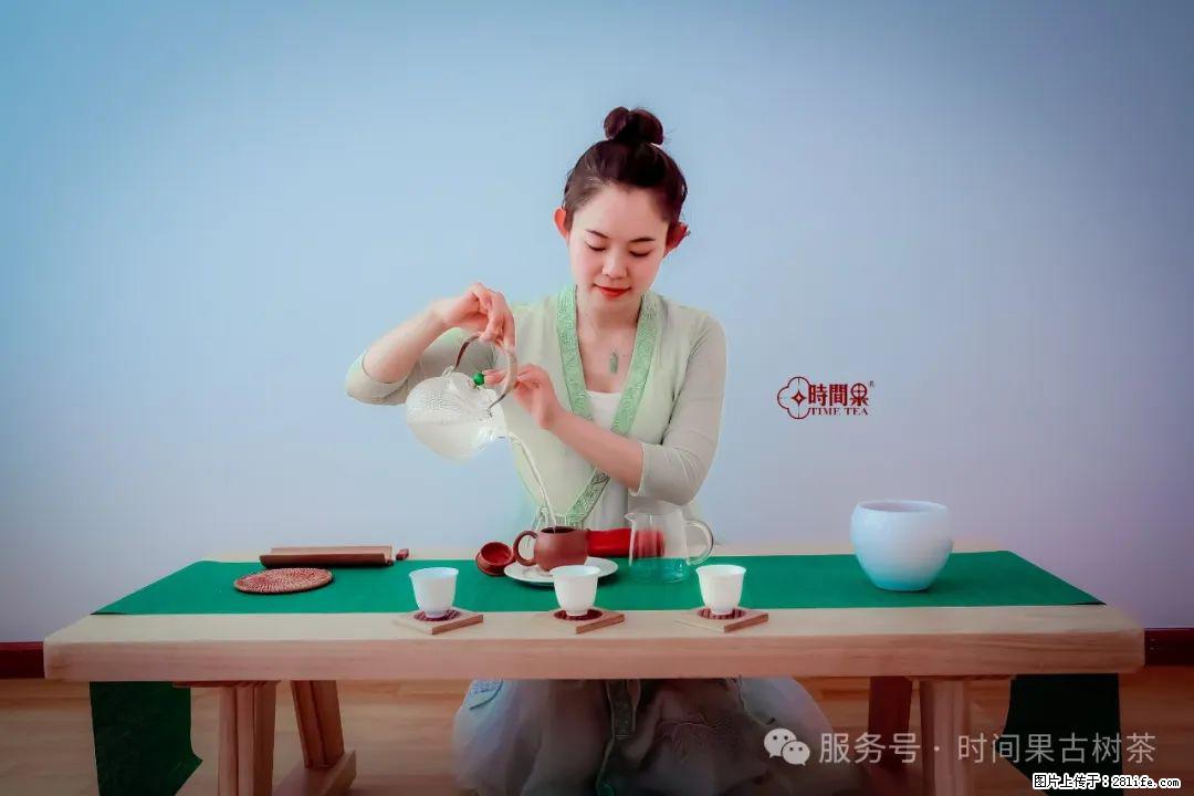 时间果百年古树龙珠普洱生茶 - 购物交流 - 池州生活社区 - 池州28生活网 chizhou.28life.net