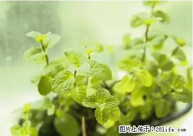 晕车、脚气、牙齿变黄、皮肤粗糙？学会这些三分钟搞定！ - 池州生活资讯 - 池州28生活网 chizhou.28life.net