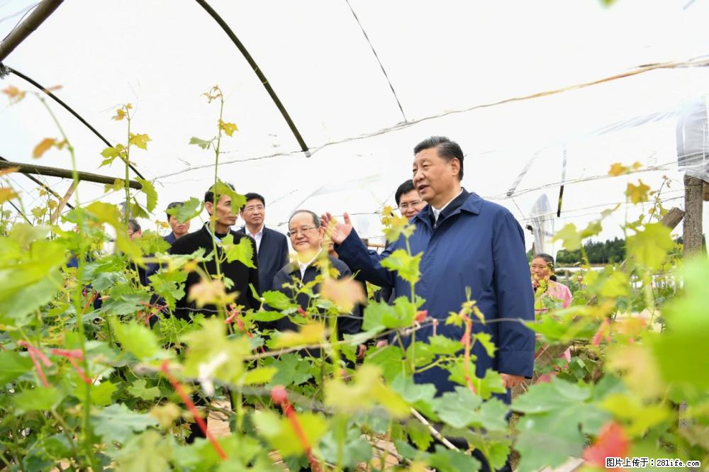 习近平赴广西考察调研 - 池州生活资讯 - 池州28生活网 chizhou.28life.net