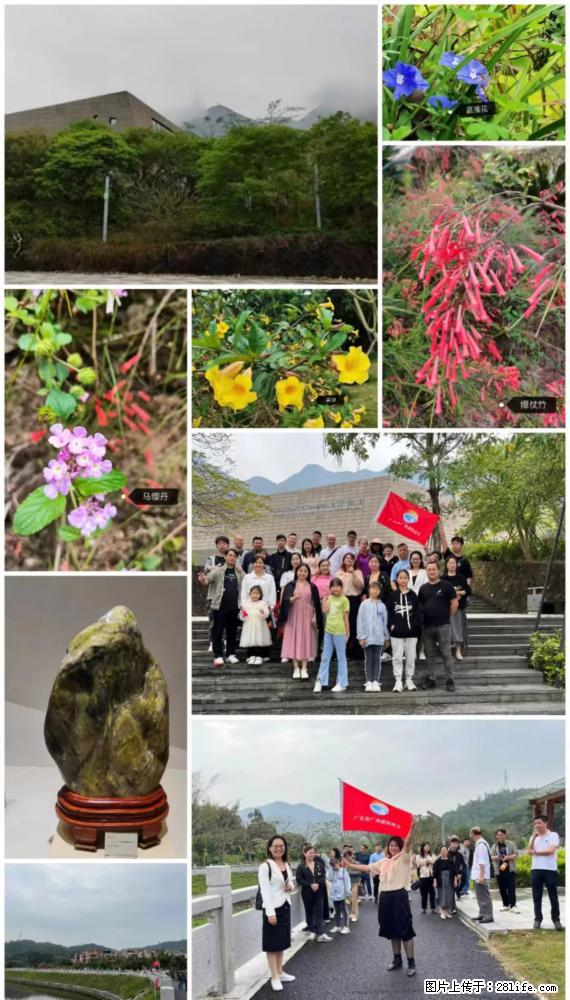 “粤灌文化 美好生活”油茶文化主题活动在广东深圳成功举办 - 池州生活资讯 - 池州28生活网 chizhou.28life.net
