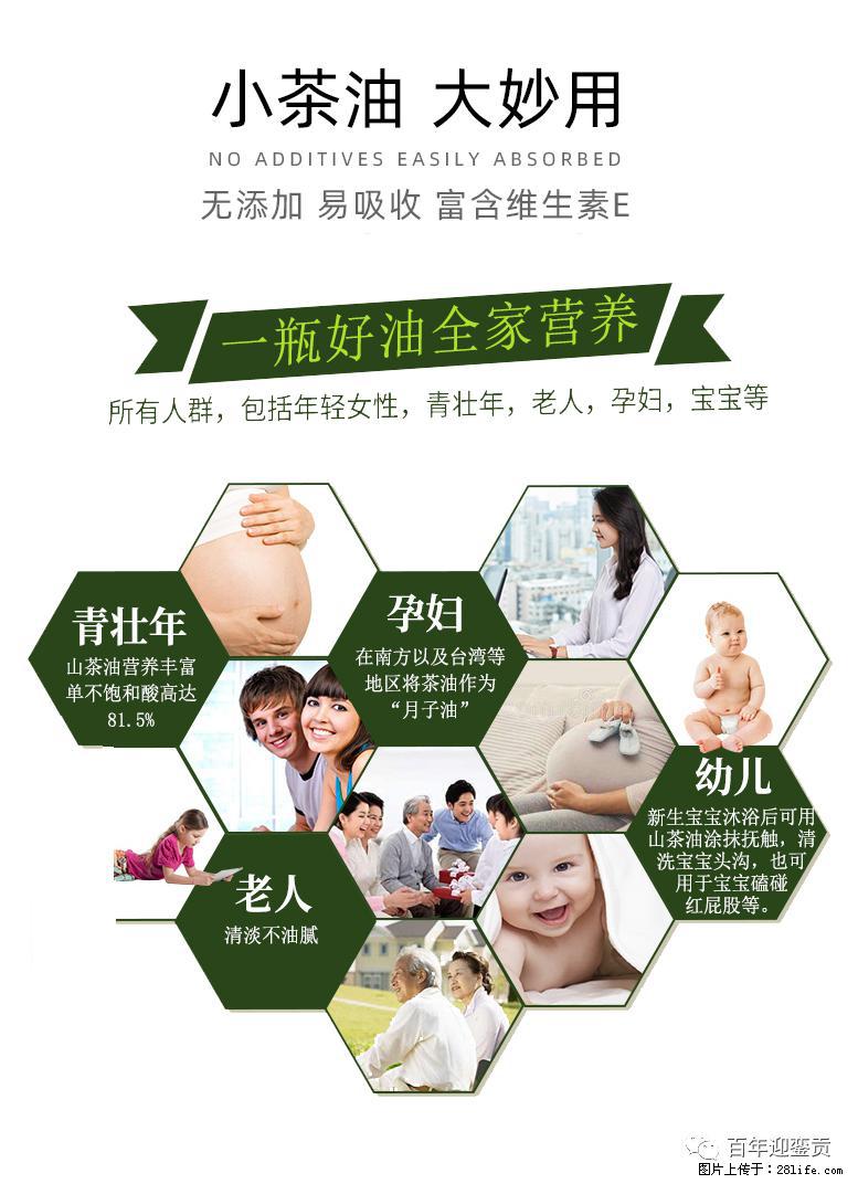 世界没有真相，只有认知，最好的食用油是中国的山茶油！ - 池州生活资讯 - 池州28生活网 chizhou.28life.net
