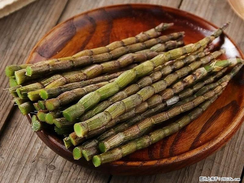 铁皮石斛的作用与功能主治 - 池州生活资讯 - 池州28生活网 chizhou.28life.net