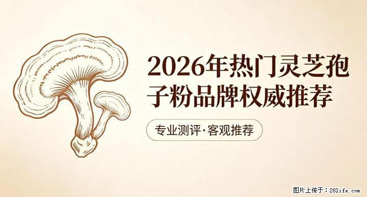 灵芝孢子粉含量越高越有效？2026 年七款热门品牌深度实测，肠胃敏感者避坑指南 - 池州生活资讯 - 池州28生活网 chizhou.28life.net